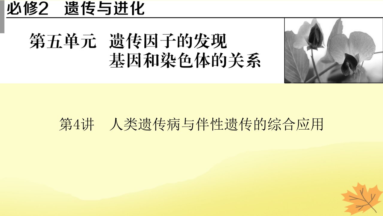 2023版高考生物一轮总复习第5单元遗传因子的发现基因和染色体的关系第4讲人类遗传病与伴性遗传的综合应用课件