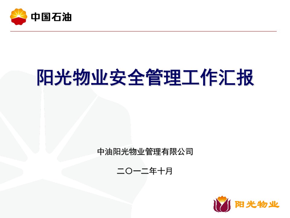 20121010华油专业安委会汇报材料