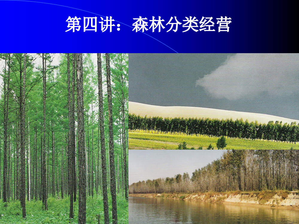 第四讲：森林分类经营(ppt文档)