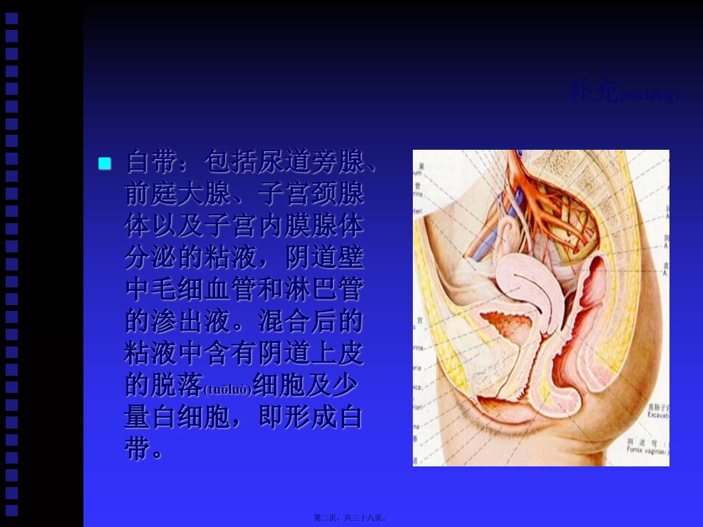 医学专题带下病