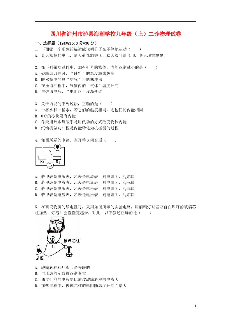 四川省泸州市泸县海潮学校九级物理上学期二诊试题（含解析）