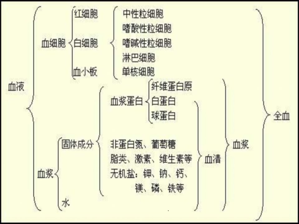 白细胞减少症ppt演示课件