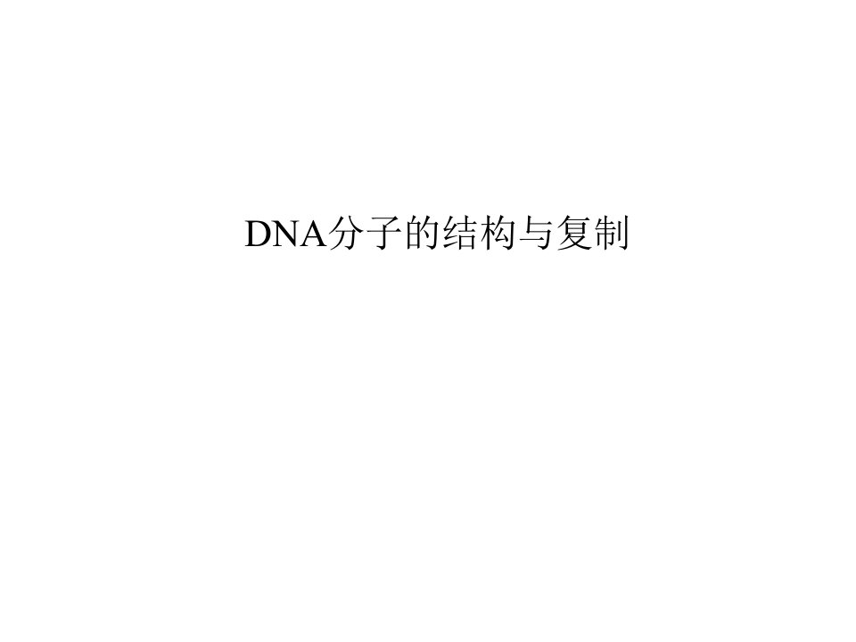 09届高三生物DNA分子的结构与复制