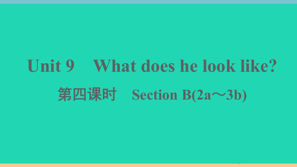 江西专版七年级英语下册Unit9Whatdoeshelooklike第四课时作业课件新版人教新目标版