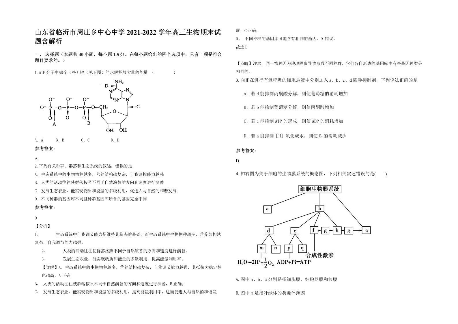 山东省临沂市周庄乡中心中学2021-2022学年高三生物期末试题含解析