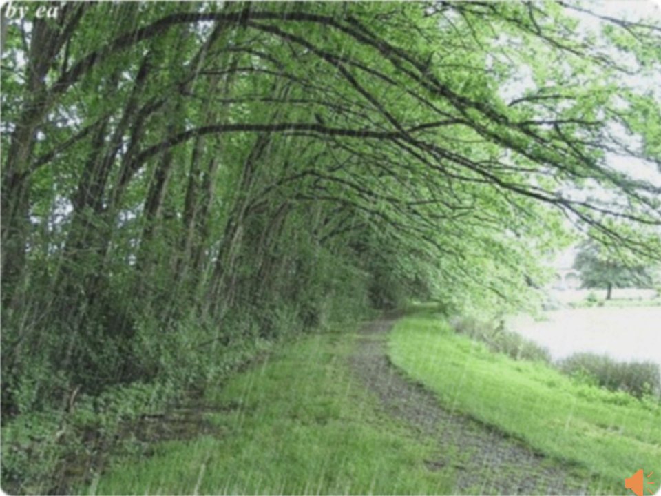 以酸雨为例探究环境污染对生物的影响