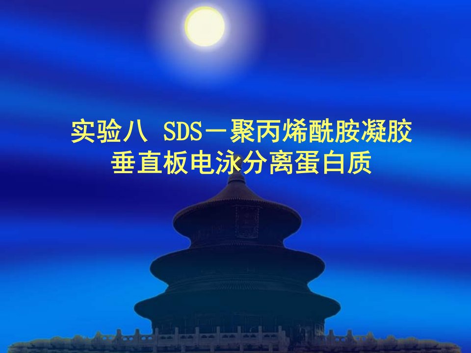 SDS-聚丙烯酰胺凝胶垂直板电泳分离蛋白质