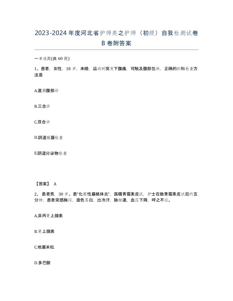 2023-2024年度河北省护师类之护师初级自我检测试卷B卷附答案