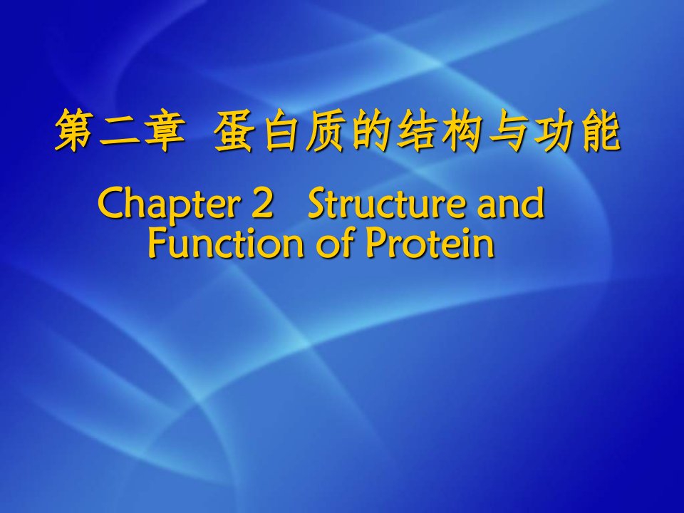 蛋白质的基本机构和功能