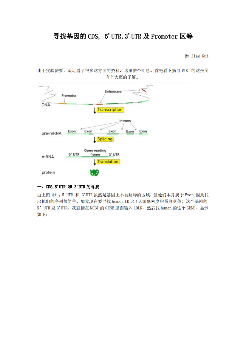 寻找基因的CDS,