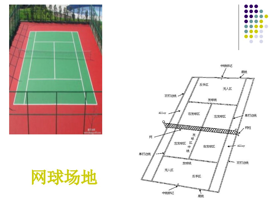 网球战术介绍课件教案