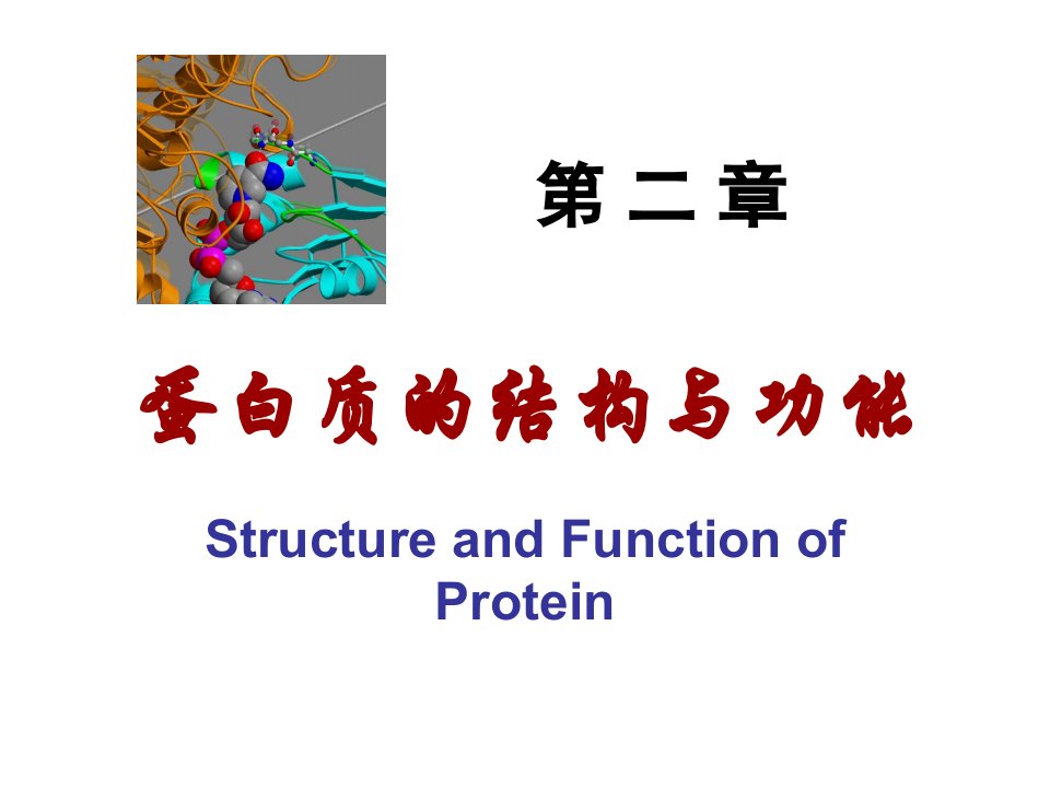 《生物化学教案》PPT课件