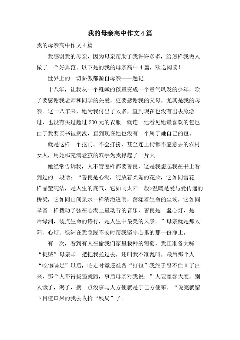 我的母亲高中作文4篇