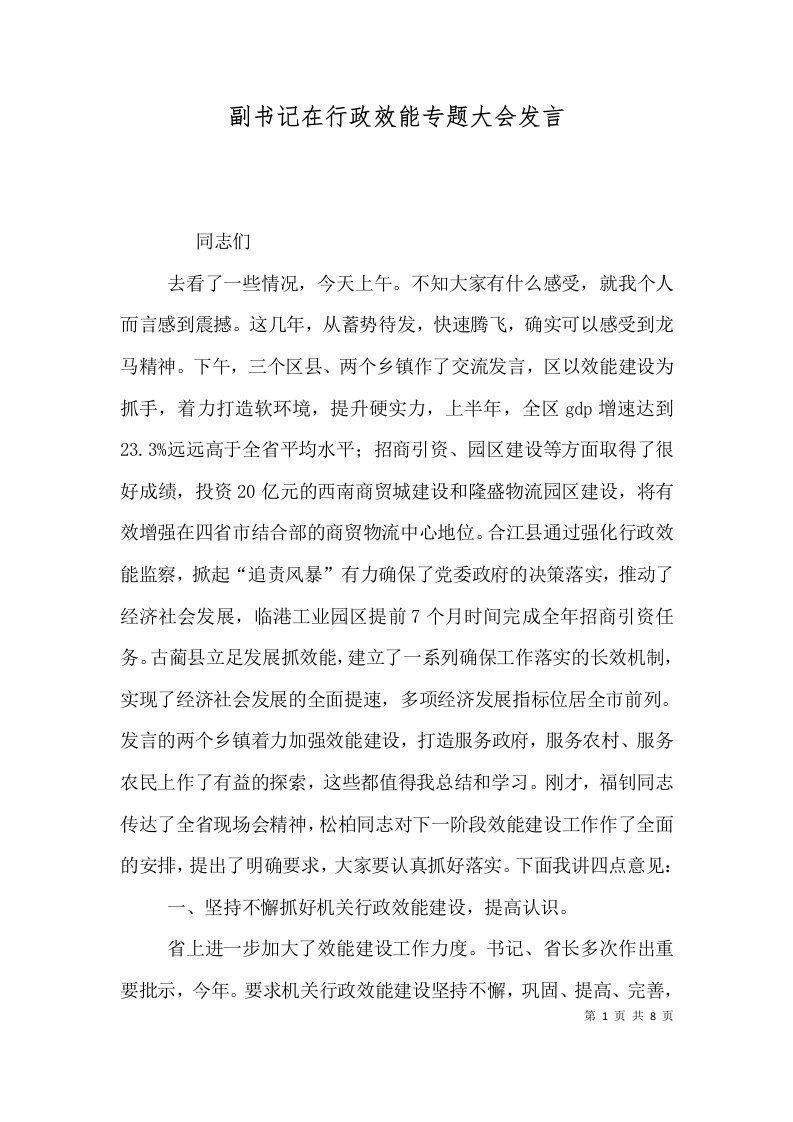 副书记在行政效能专题大会发言