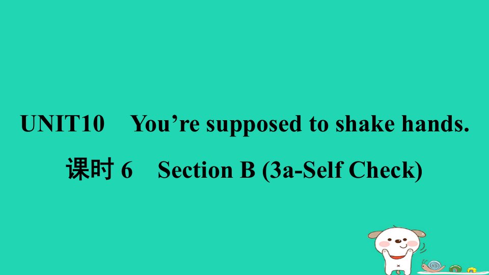 安徽省2024九年级英语全册Unit10You'resupposedtoshakehands课时6SectionB3a_SelfCheck课件新版人教新目标版