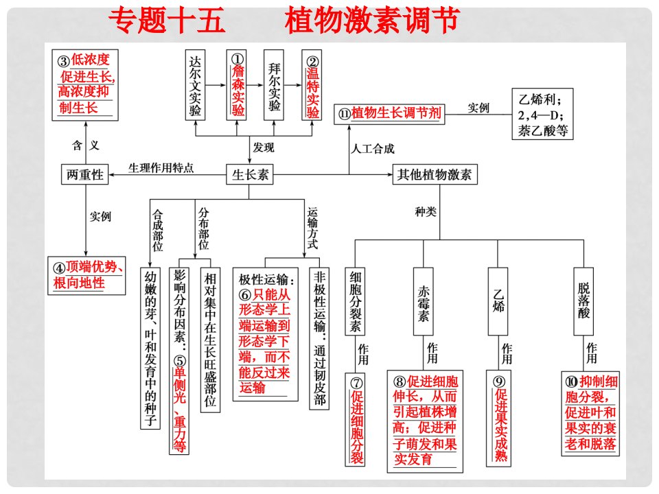 高考生物