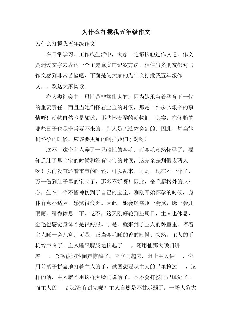 为什么打扰我五年级作文