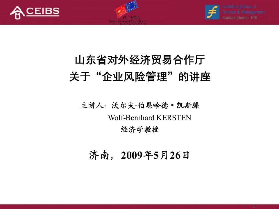 企业风险管理（中文版）ppt-PowerPoint演示