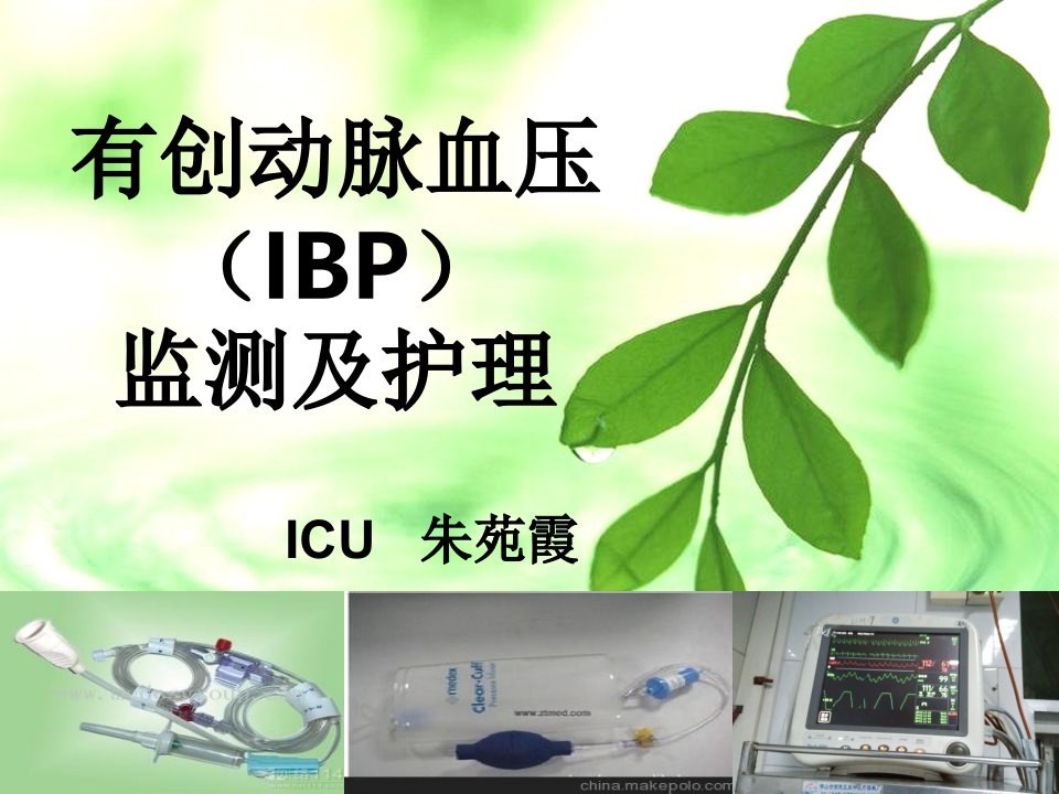 有创动脉血压(ibp)监测及护理演示ppt