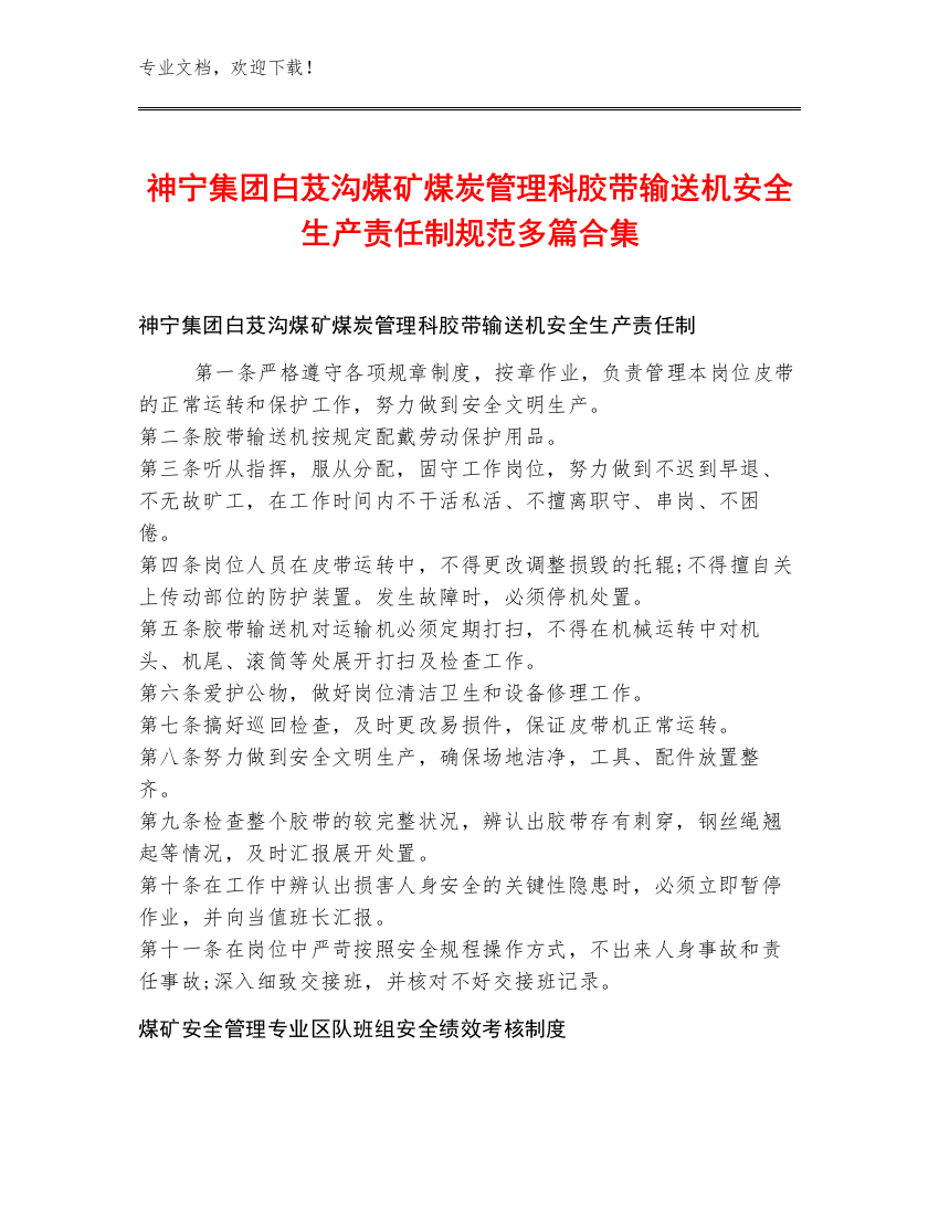 神宁集团白芨沟煤矿煤炭管理科胶带输送机安全生产责任制规范多篇合集