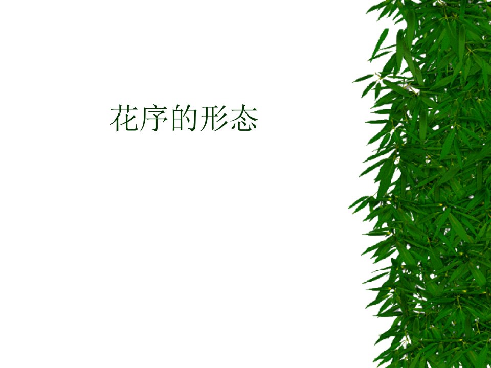 花序的形态