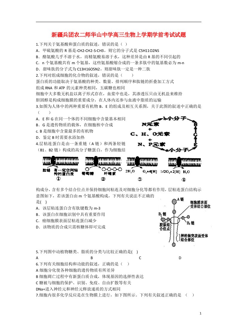 新疆兵团农二师华山中学高三生物上学期学前考试试题