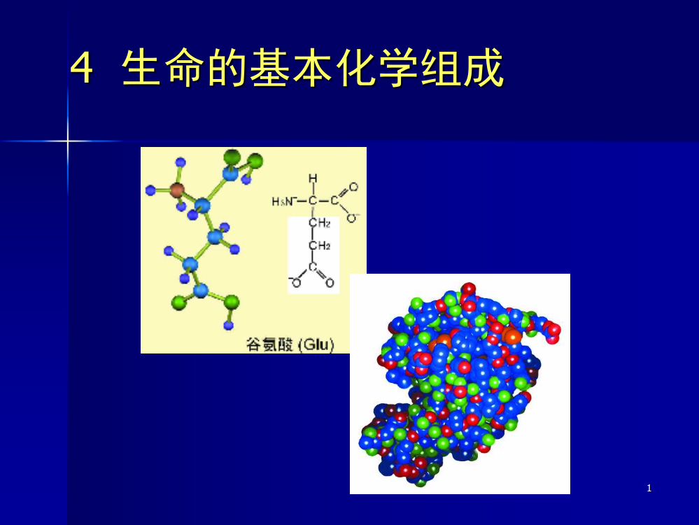 基础生命科学生命的基本化学组成ppt课件