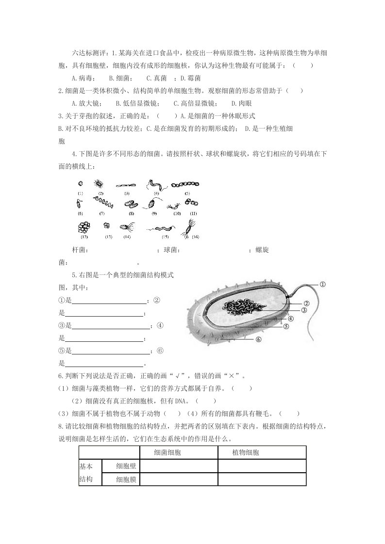 八年级生物第六周学案