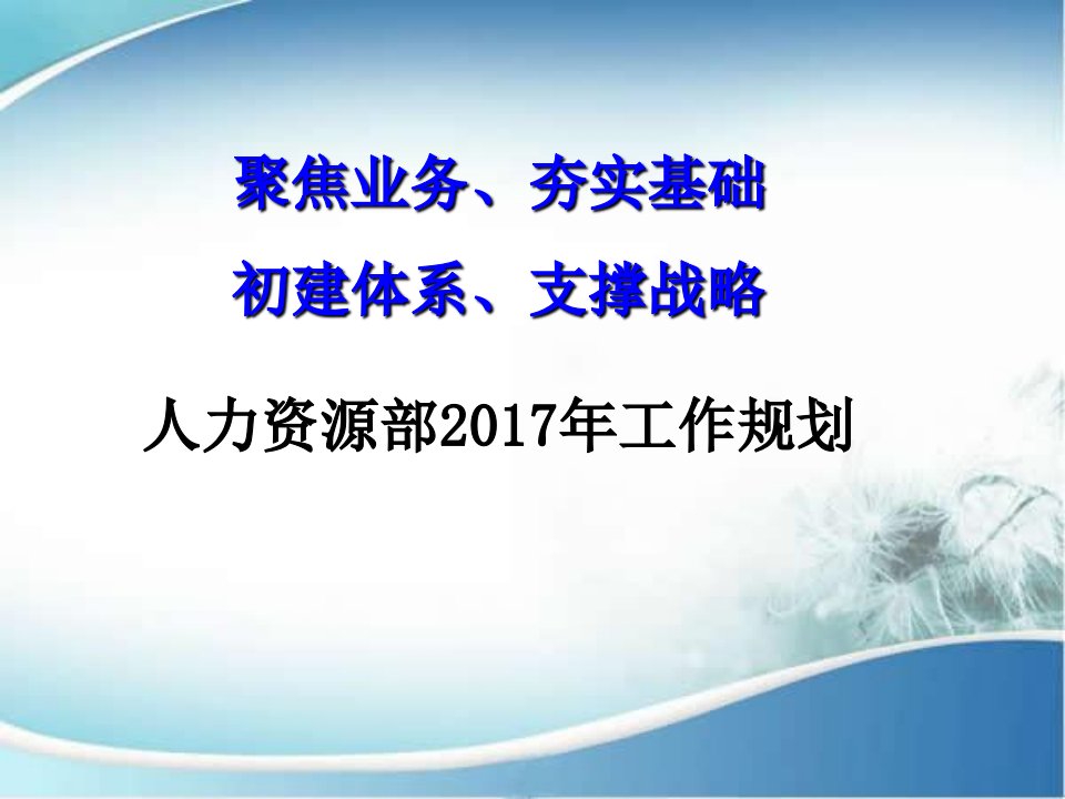 某公司人力资源部2017年度规划报告