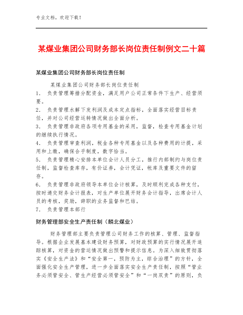 某煤业集团公司财务部长岗位责任制例文二十篇