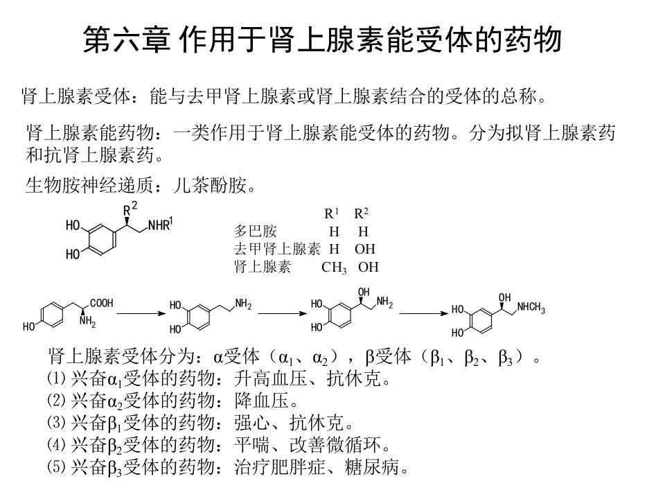 药物化学拟肾上腺素药和抗肾上腺素药课件