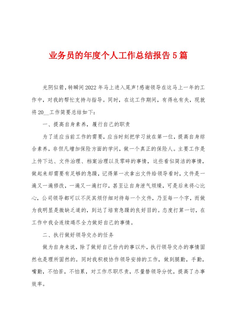 业务员的年度个人工作总结报告