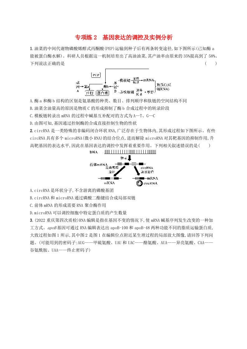 适用于老高考旧教材2024版高考生物一轮总复习第六单元遗传的分子基础专项练2基因表达的调控及实例分析新人教版