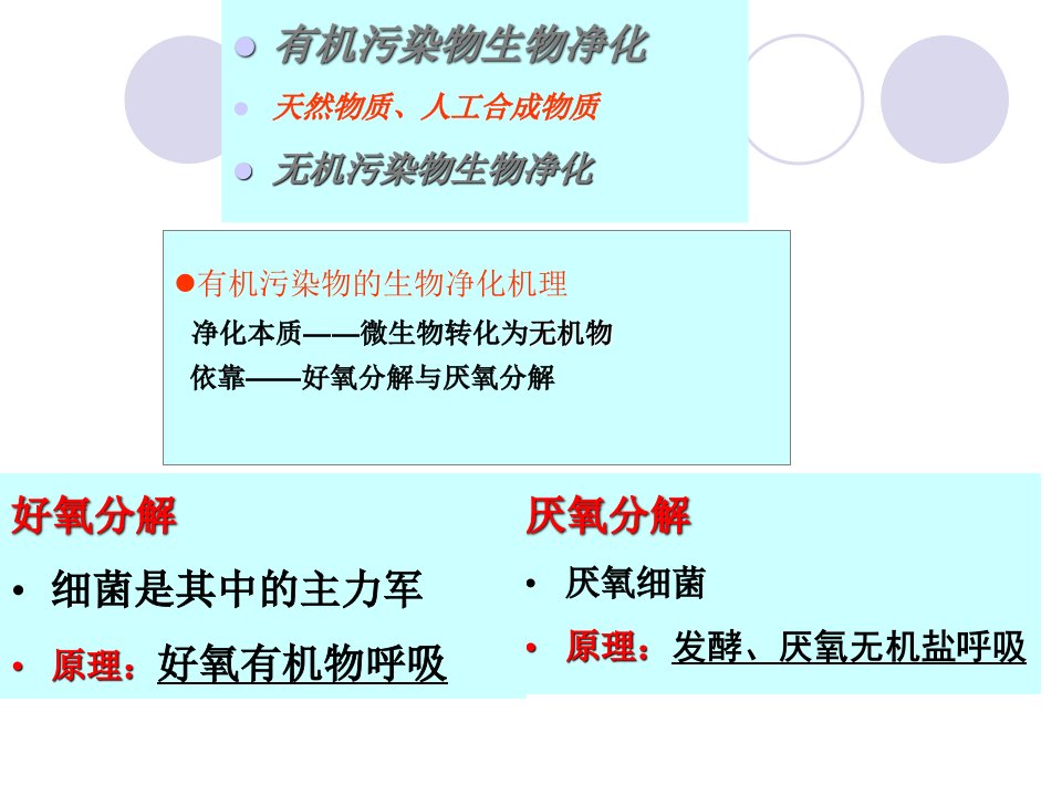 最新微生物在物质循环中的作用八PPT课件