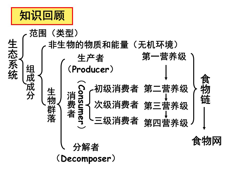 教学生态系统的能量流动