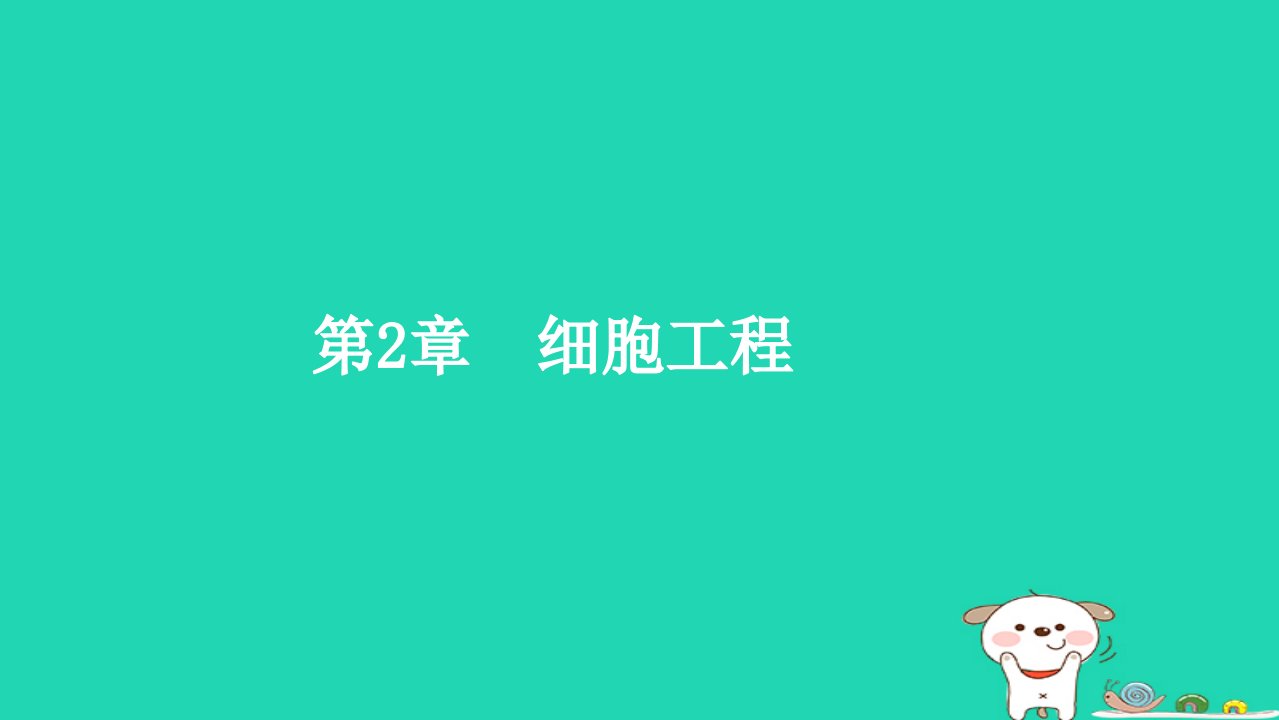 2022_2023学年新教材高中生物第2章细胞工程第1节植物细胞工程1植物细胞工程的基本技术课件新人教版选择性必修3