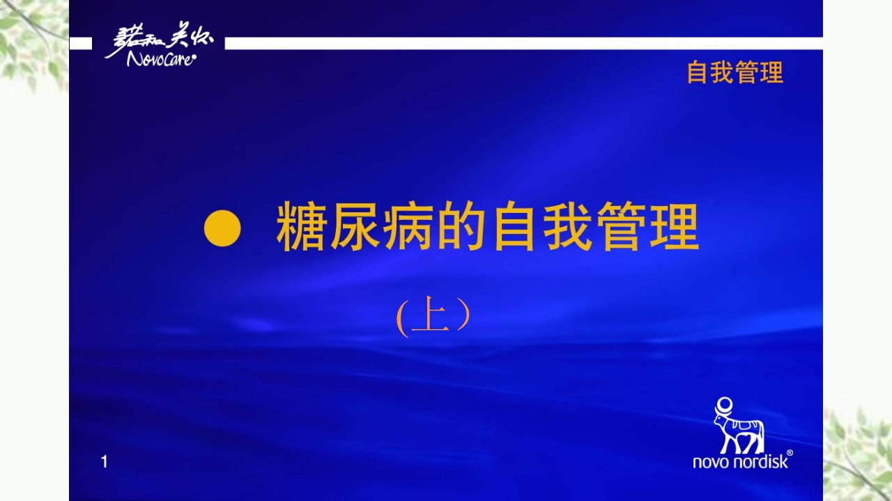 糖尿病患者的自我管理上课件