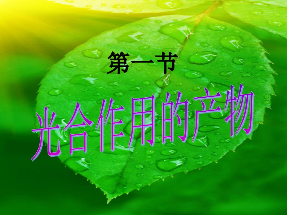 八年级生物上册