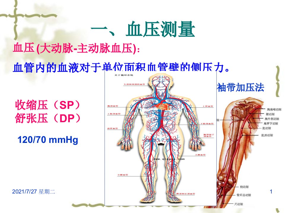 齐鲁医学急救血压测量AED异物处理模板