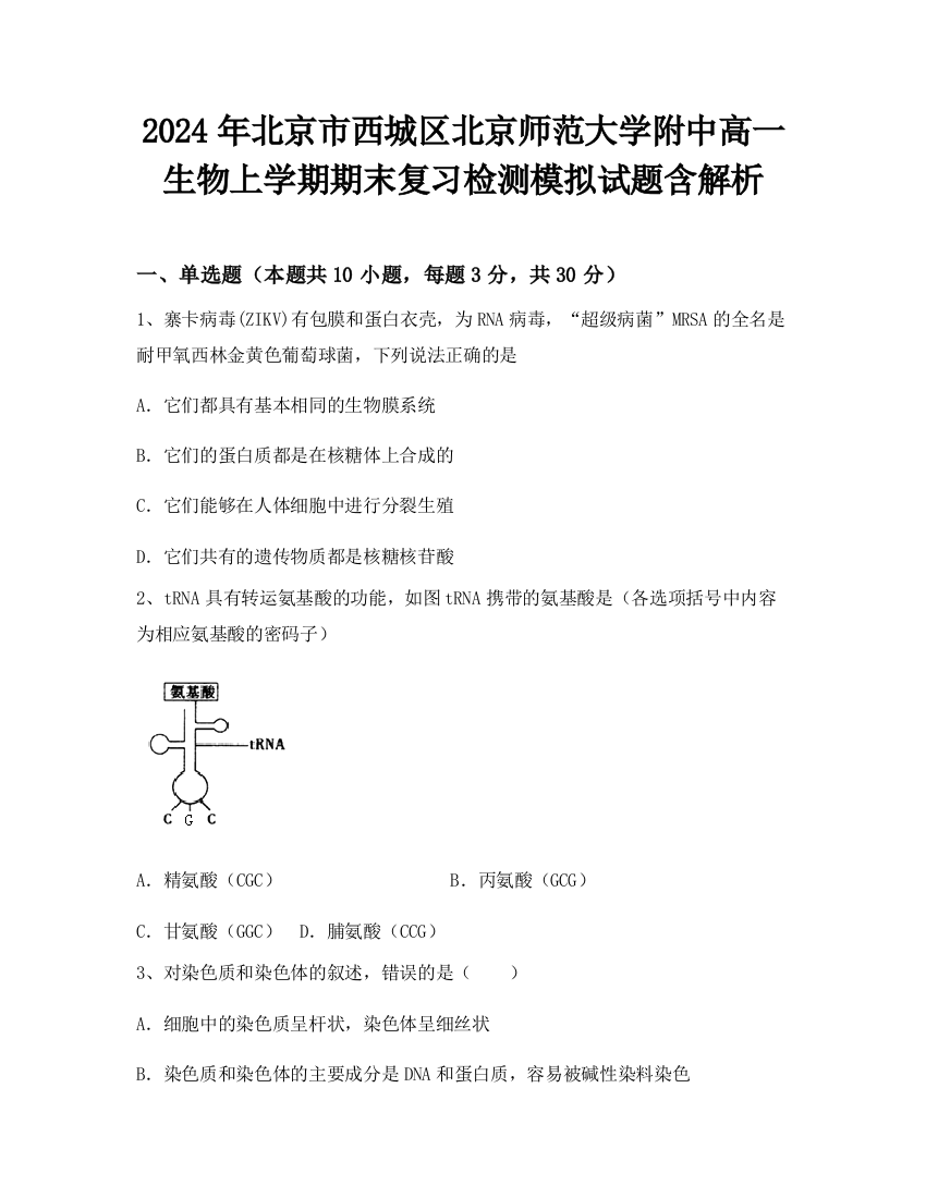 2024年北京市西城区北京师范大学附中高一生物上学期期末复习检测模拟试题含解析