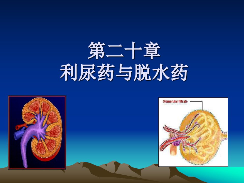 药理学课件第二十章利尿药和脱水药