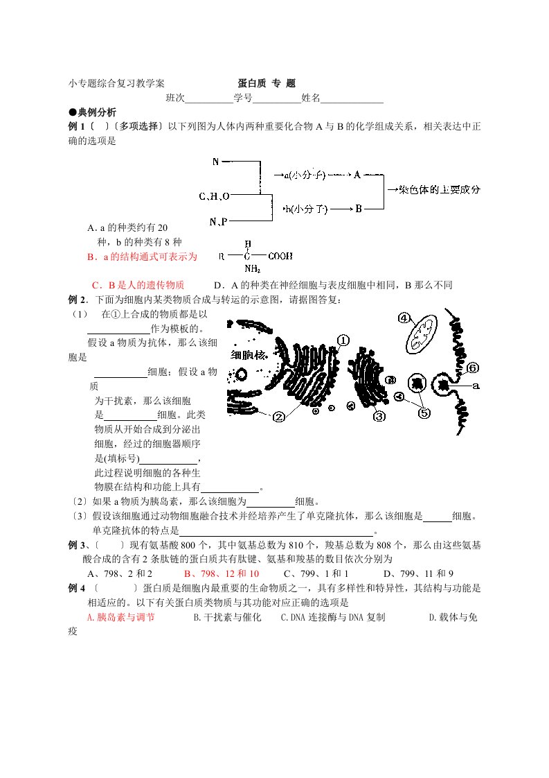 2023年高考生物小专题综合复习教案