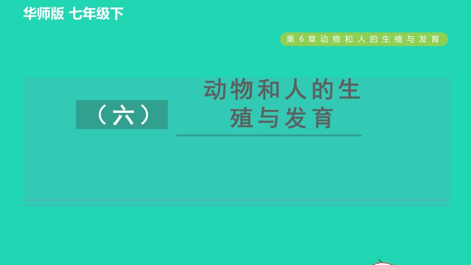 2022九年级科学下册第6章动物和人的生殖与发育专项提升训练六动物和人的生殖与发育习题课件新版华东师大版