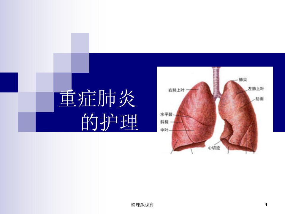 重症肺炎的护理PPT课件