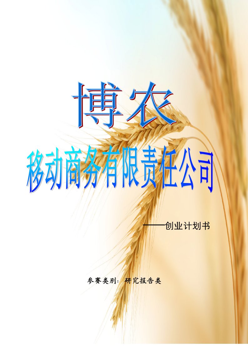 商业计划书-博农移动商务有限责任公司创业计划书