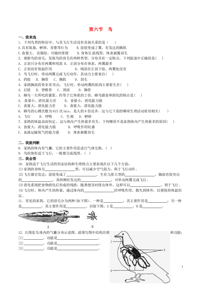 八年级生物上册----鸟同步练习3-新版新人教版1