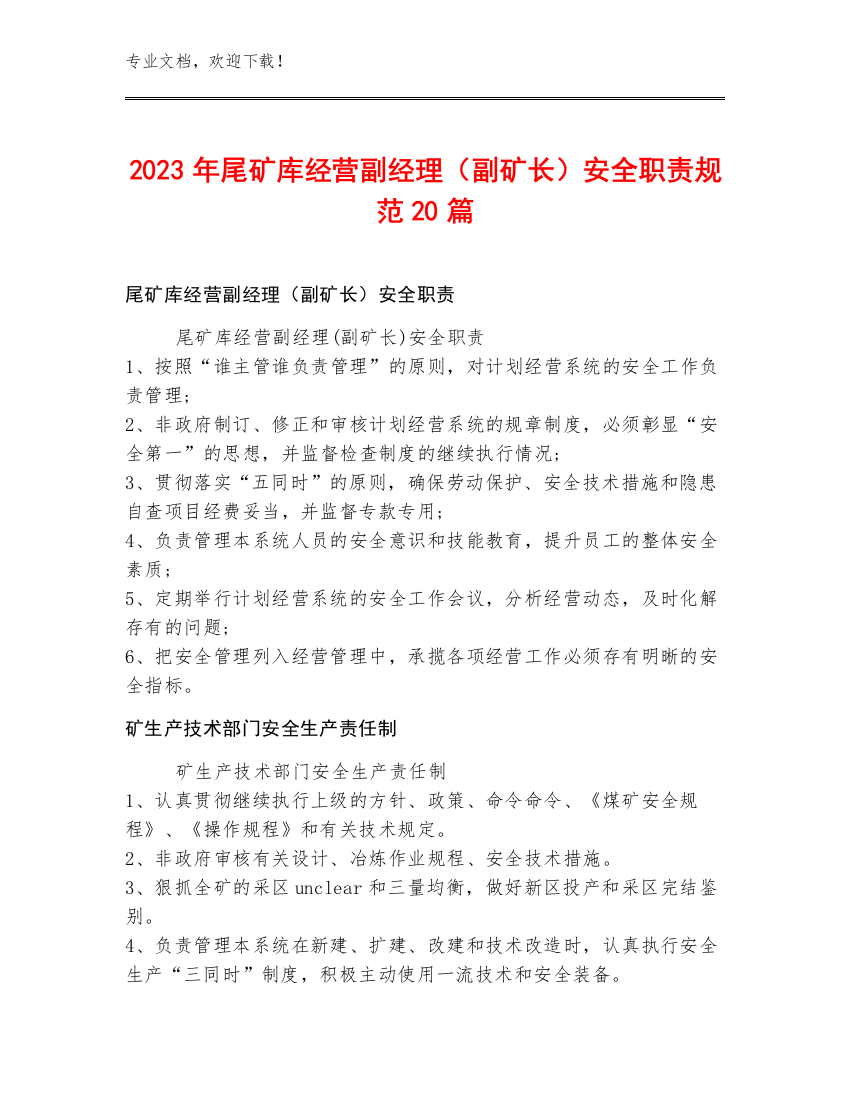 2023年尾矿库经营副经理（副矿长）安全职责规范20篇