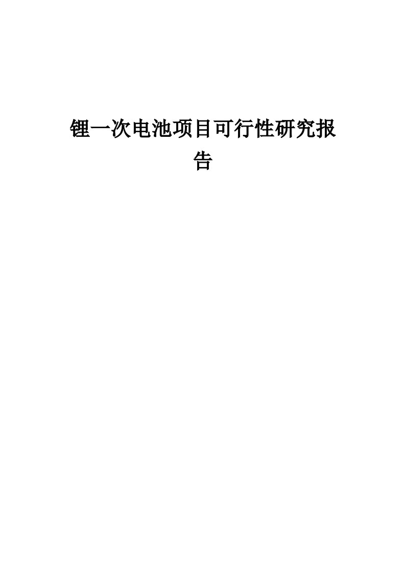 锂一次电池项目可行性研究报告