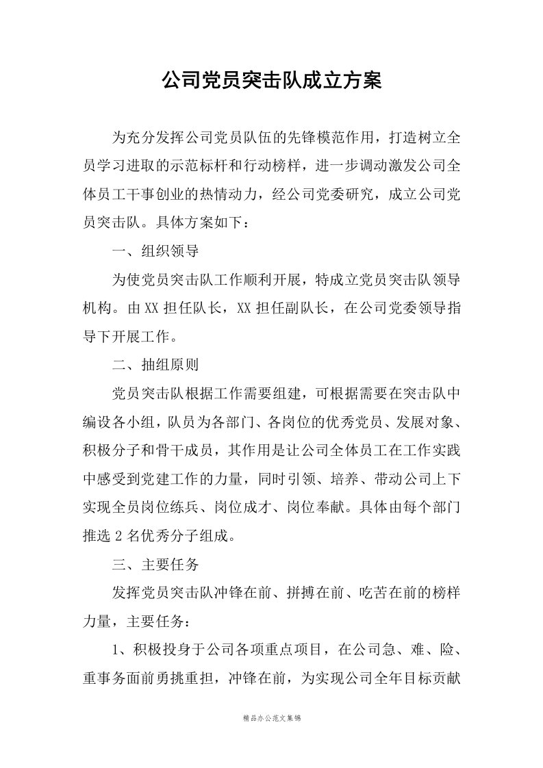 公司党员突击队成立方案