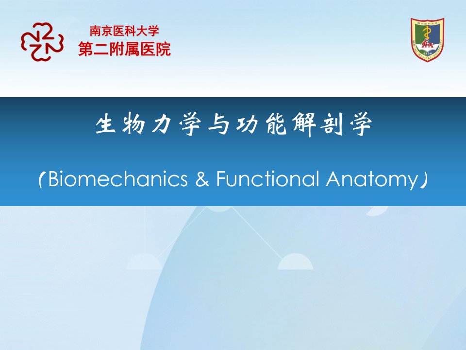 康复医学培训课件：《生物力学与功能解剖学》